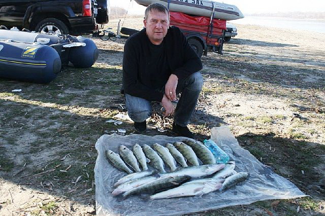 Где то летом на Оби