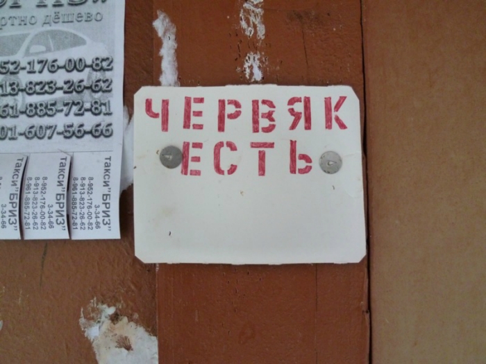 покупка пикуля в колпашево