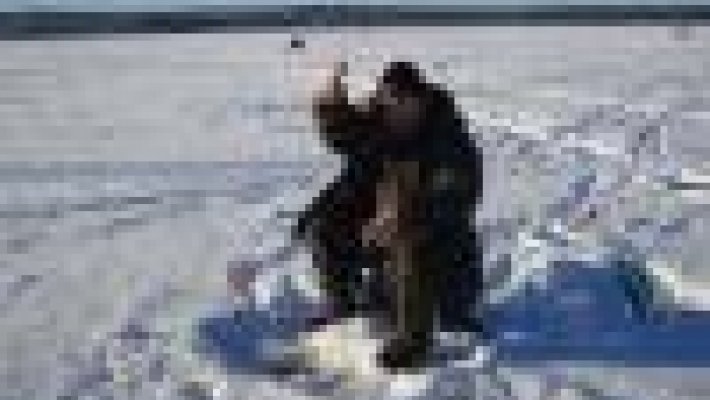 Турнир лиги КУЗ-БАССА по ловле окуня на искусственные приманки