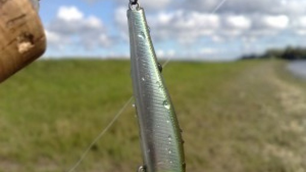 Обзор воблера ZipBaits Rigge 70F или «Легенда под номером 70»