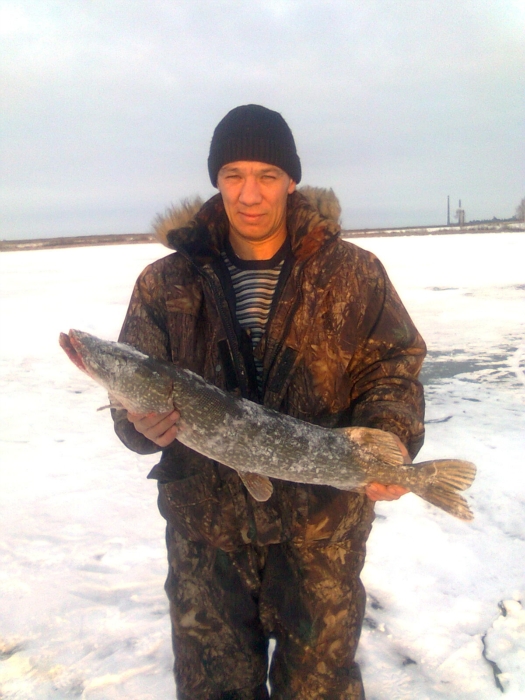 улов 7 .12.11г