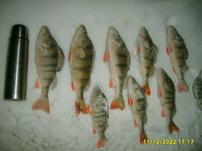 ОВХ, Насоска. 22.12.2011г.