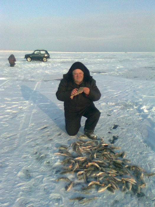 вчера 31 км
