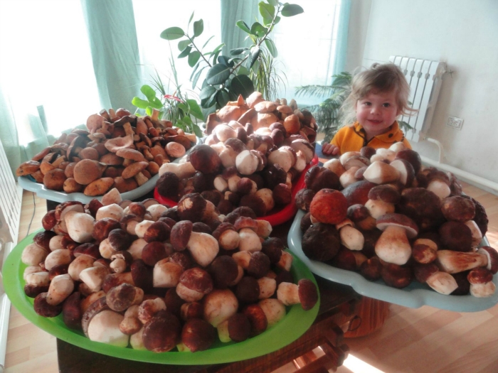 Папины дочки