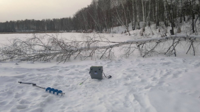 под березкой...