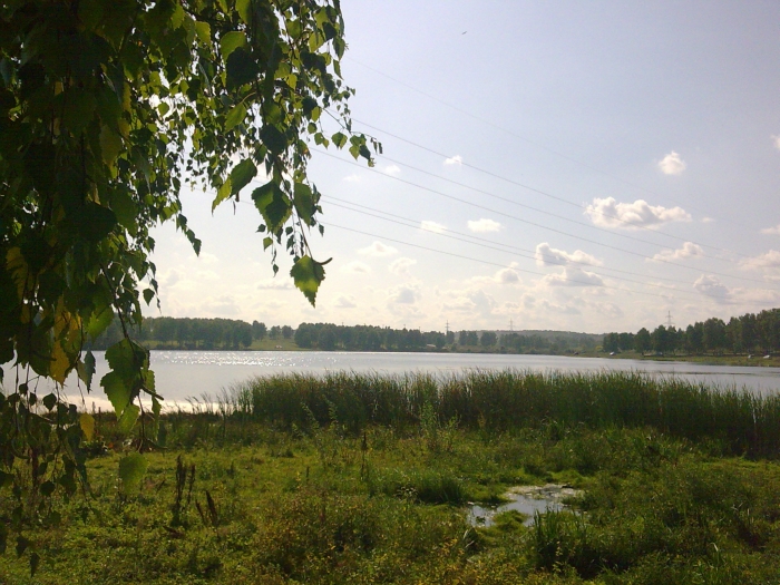 Ложок