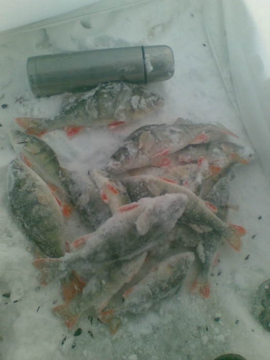 29.12.11г.  ОВХ