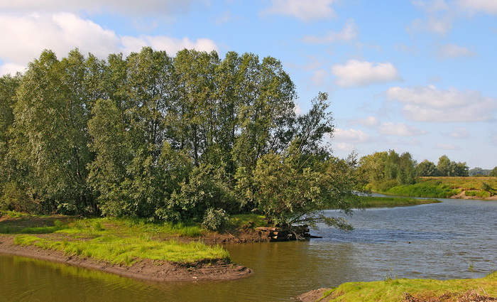 Мереть