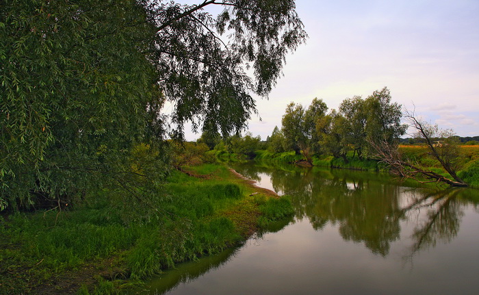 Мереть