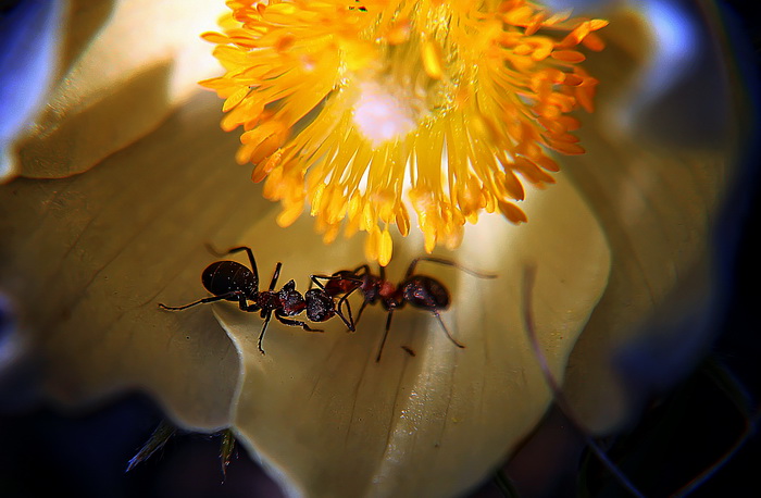 --