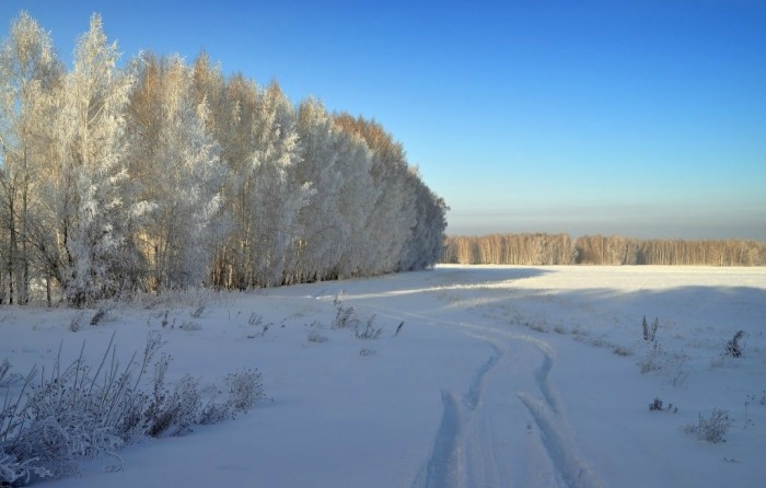 Всё застыло, затаилось, замолчало...
