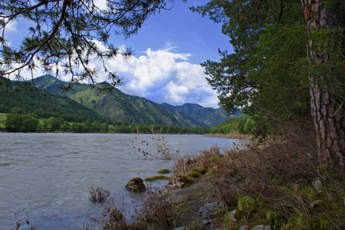 Катунь