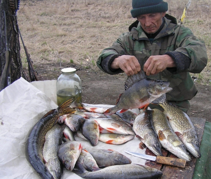 На безрыбье и сардон - рыба....