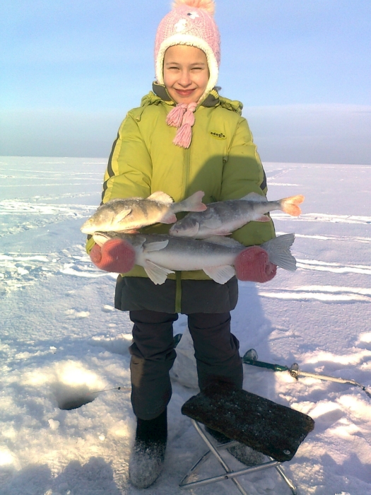 ОВХ