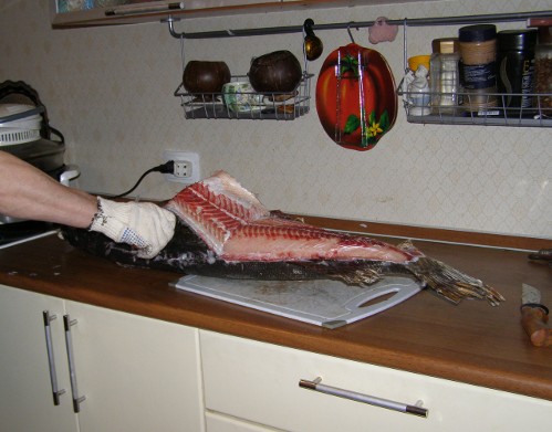 Разделка щуки, шаг 2