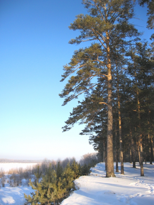 Дубровино