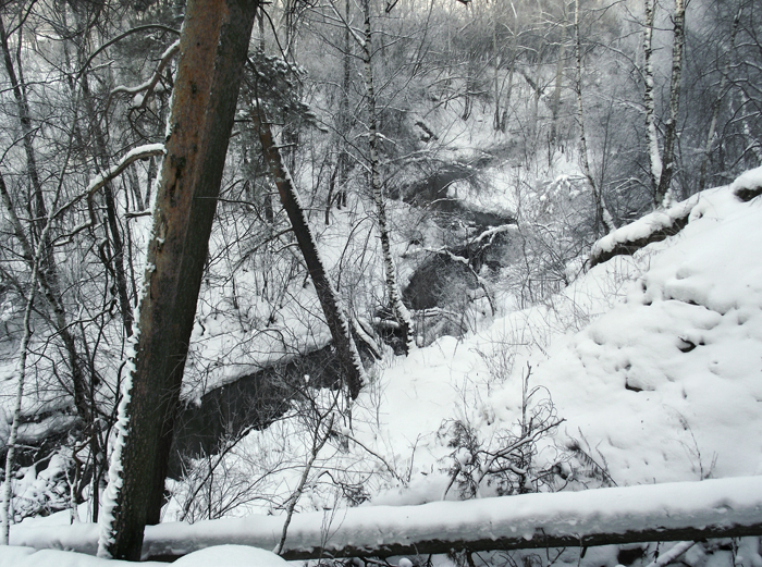 р. Ельцовка