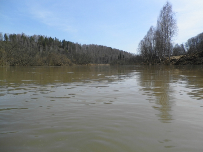 Бердь разлилась