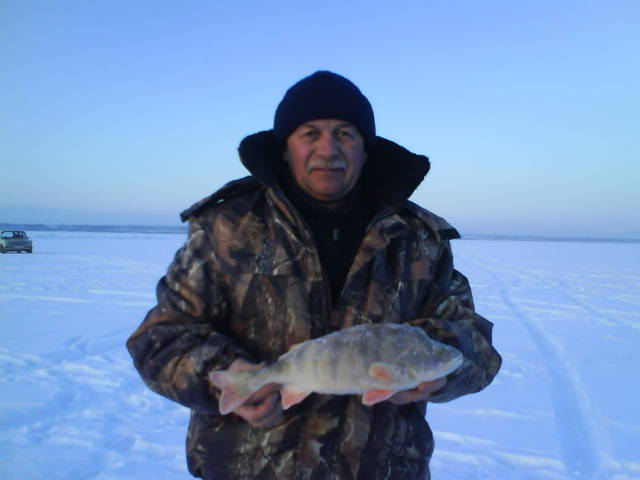 11 фев. 2012г. 31 км.