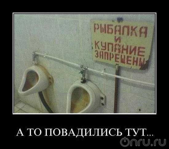 промысловый видемо участог