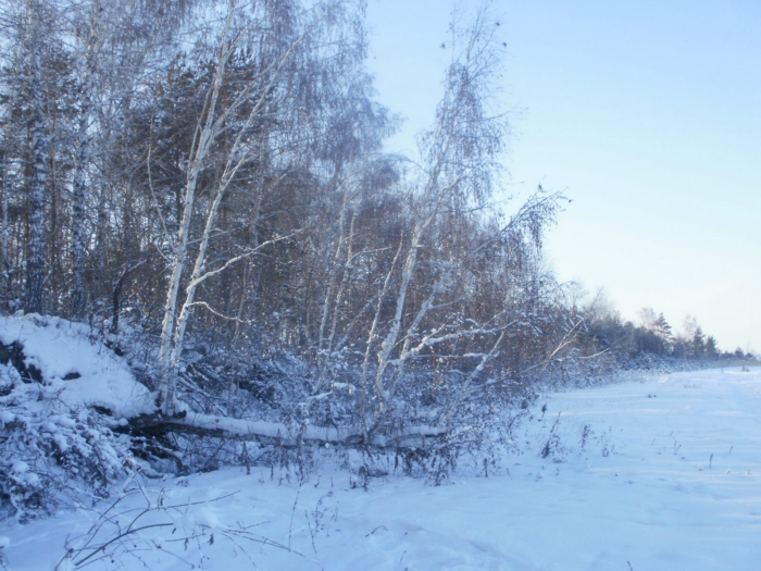 Остров Лысый