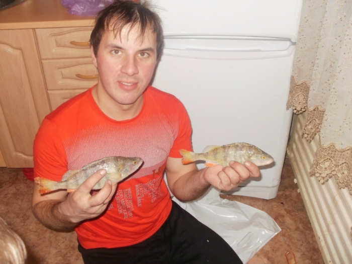 Окуни с ОВХ