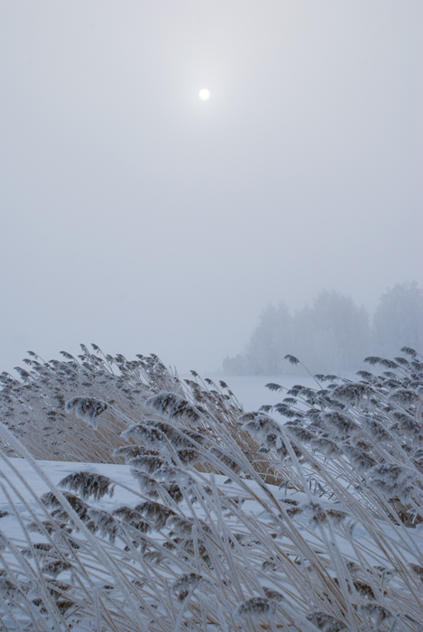 Туманное утро.19.02.2012.