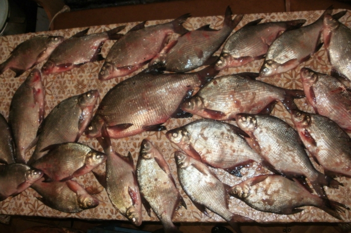 Лещи