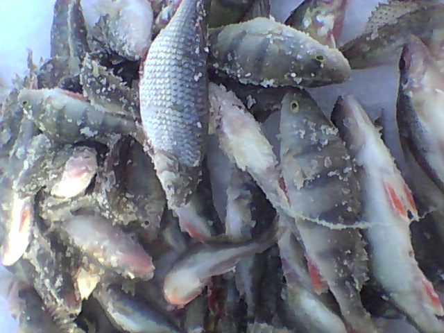процесс нормальный