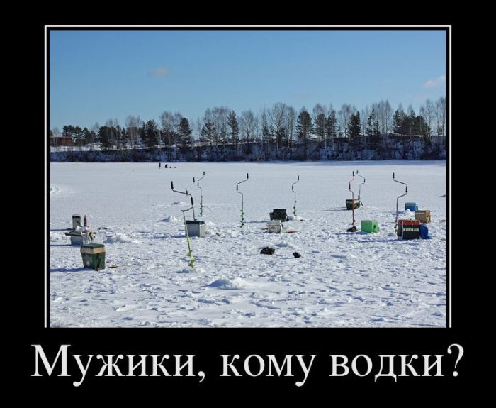 Мужики, кому водки????)