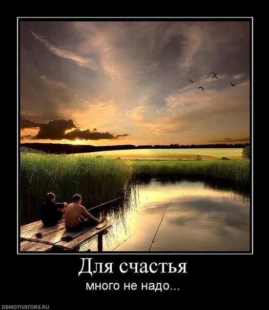счачстье