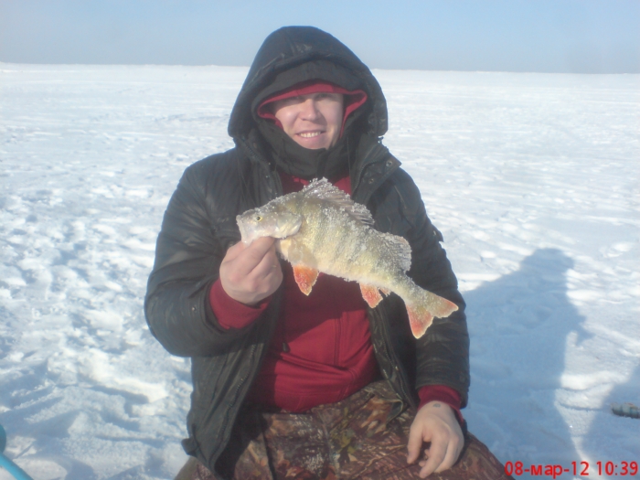 31 км