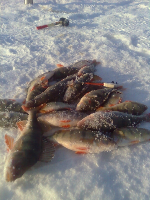 ОВХ воскресенье 04 марта 2012