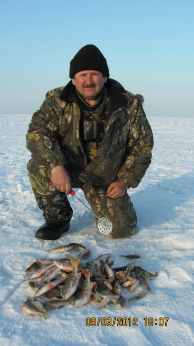 31-й км