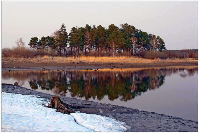 Бердск. Чайка.