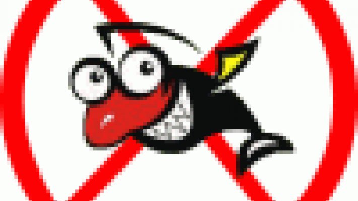 Напоминаем о весеннем запрете на ловлю рыбы