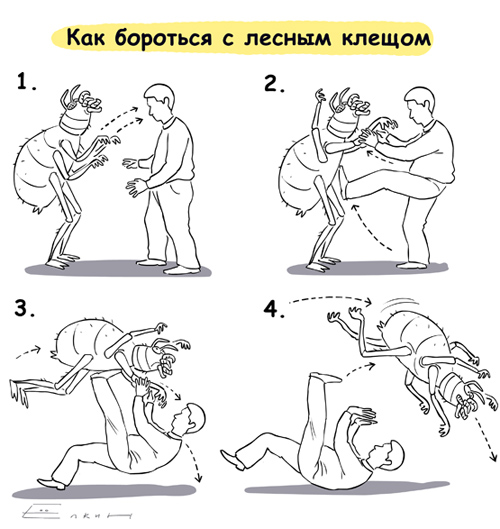Как бороться с клещом