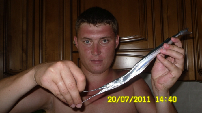 на вату с сайрой