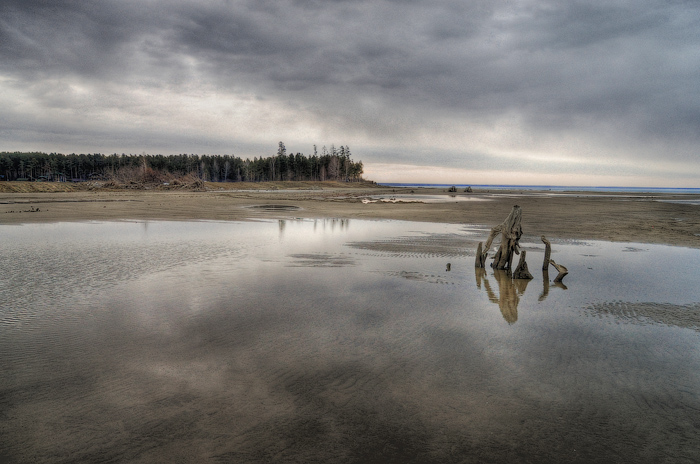 Берег Обского моря (07.04.2012г)