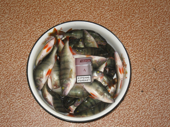 У лов
