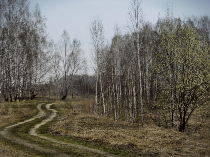 Наша Россия