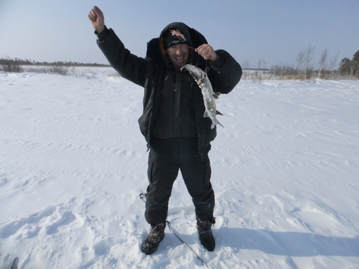 Тенис