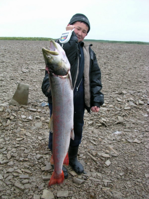 14 кг