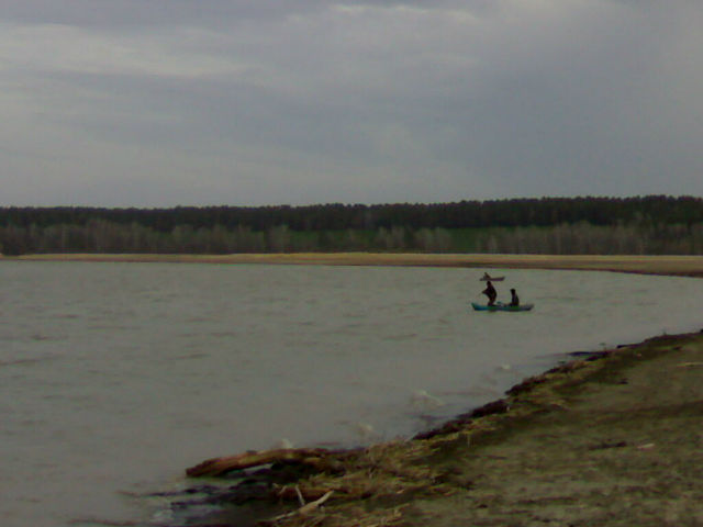 браки