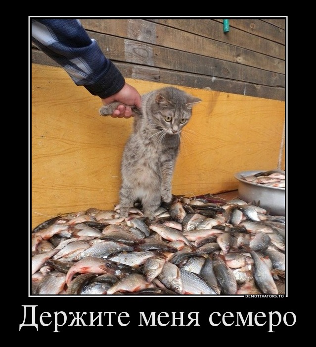 Держите  меня семеро)