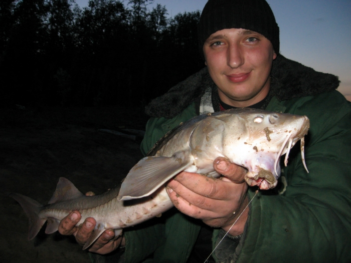Ловили налимов, а попался этот красавец! 2011