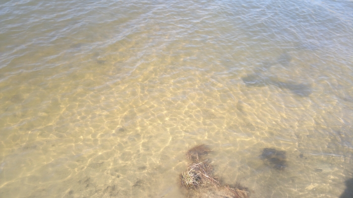 вода чистейшая