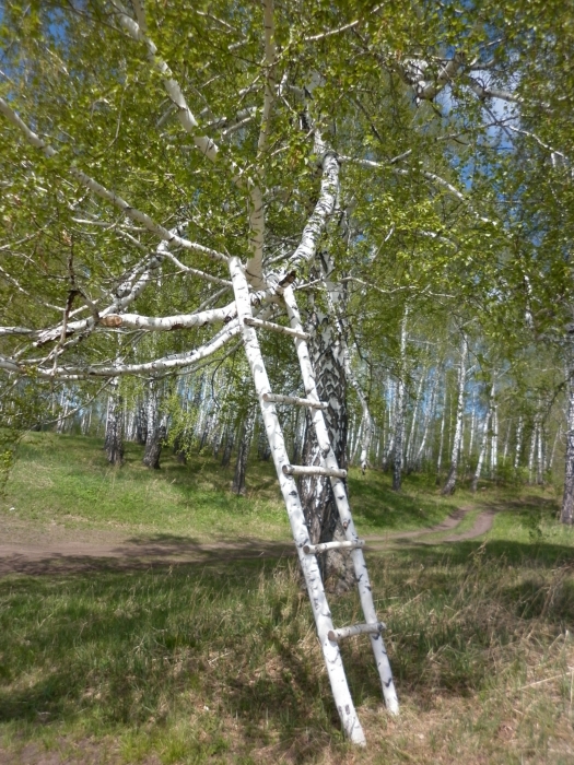 Лестница в небо