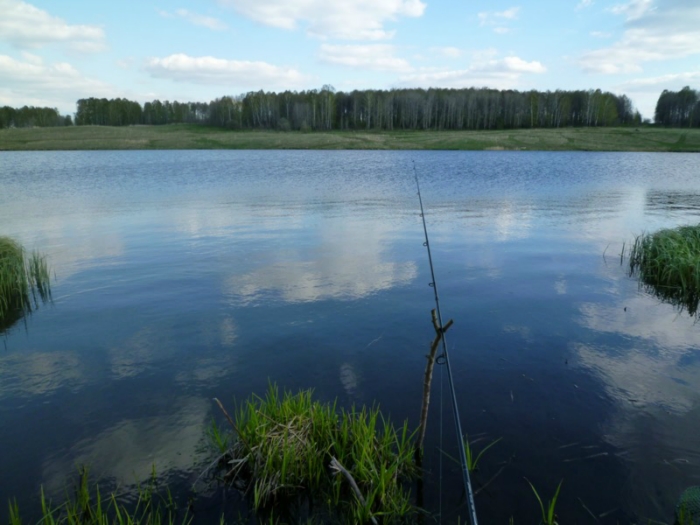 вечерняя зорька
