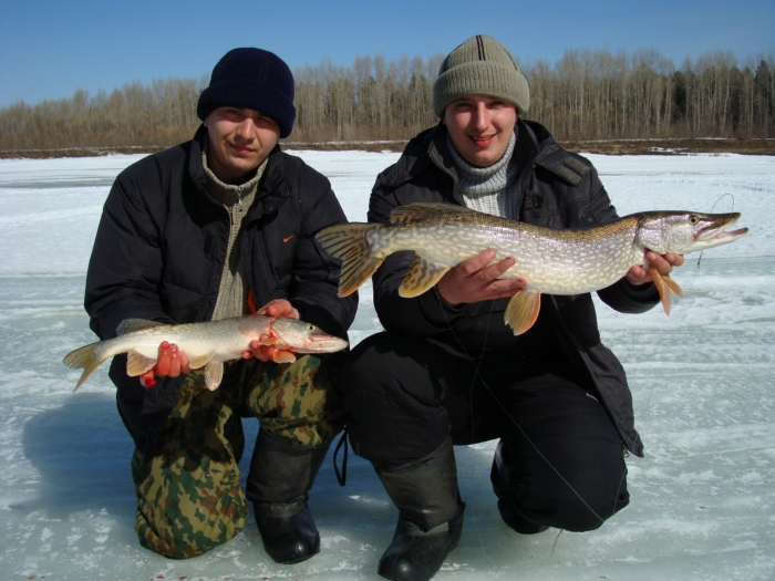 Жерлицы на Чулыме. 2011